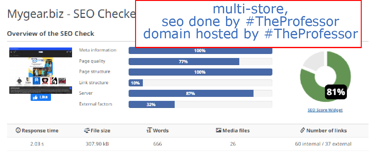 my gear seo result chart